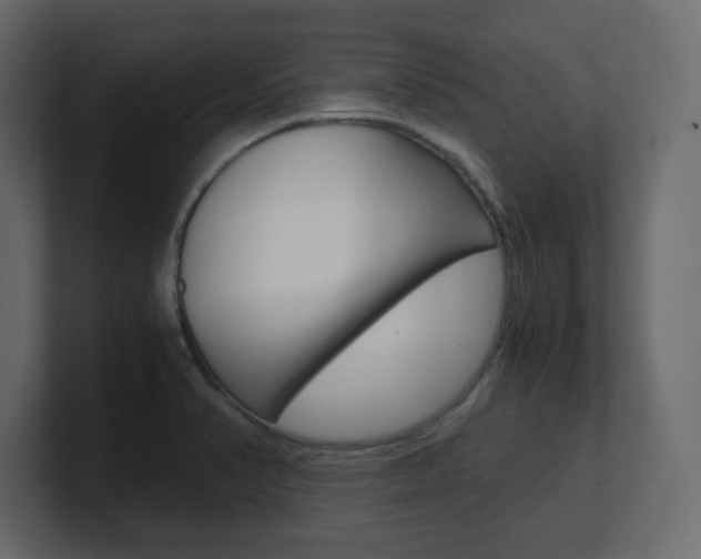 X0000101191374200806270838