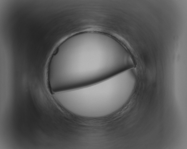 X0000101191375200806270838