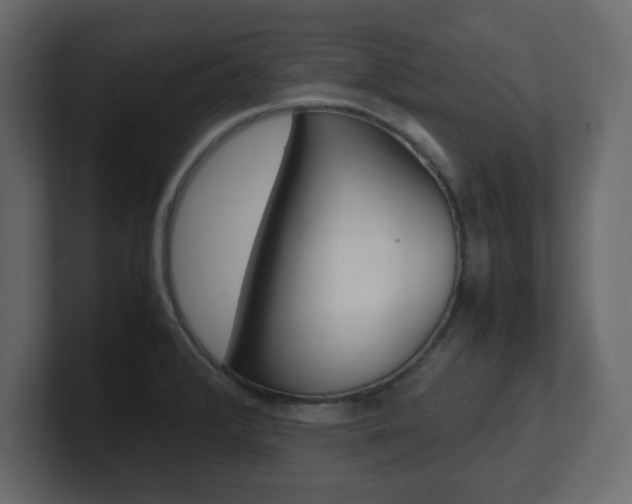 X0000101191376200806270838