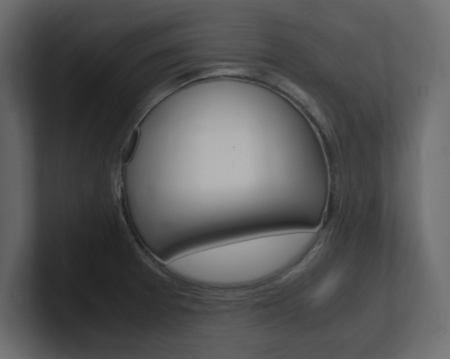 X0000101191377200806270838