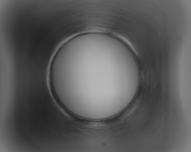 X0000101191379200806270838