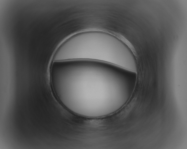 X0000101191380200806270838
