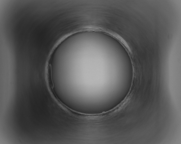 X0000101191381200806270838