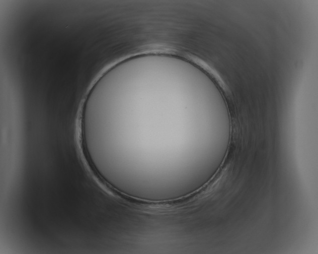 X0000101191383200806270838