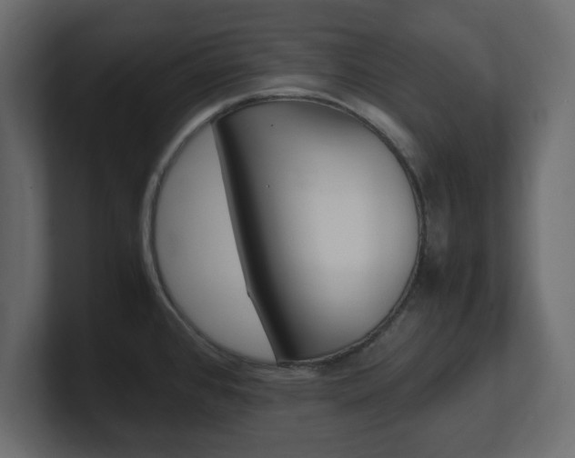 X0000101191384200806270838