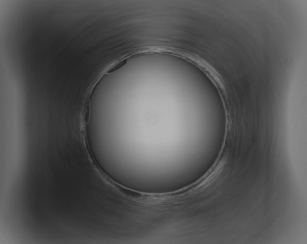 X0000101191385200806270838