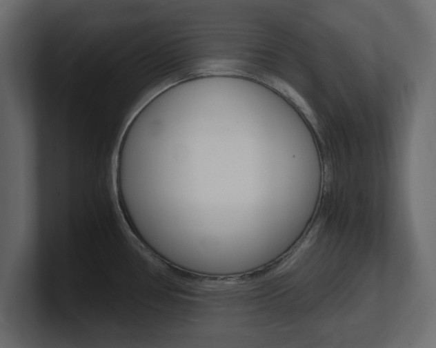 X0000101191386200806270838