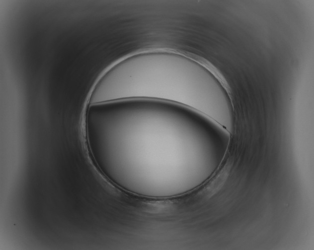 X0000101191388200806270838