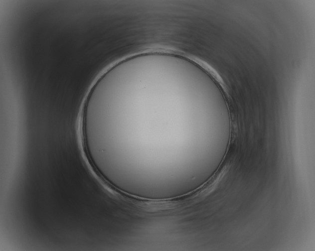 X0000101191391200806270838