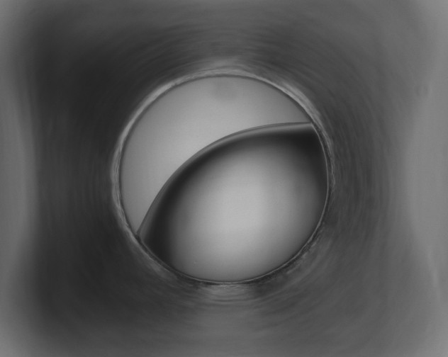 X0000101191392200806270838