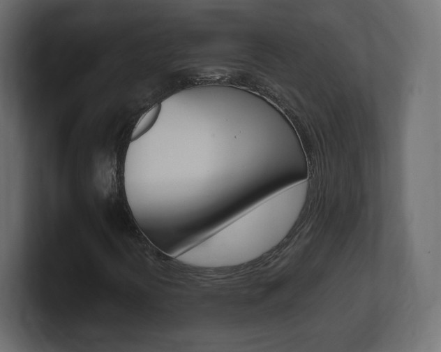 X0000101191394200806270837