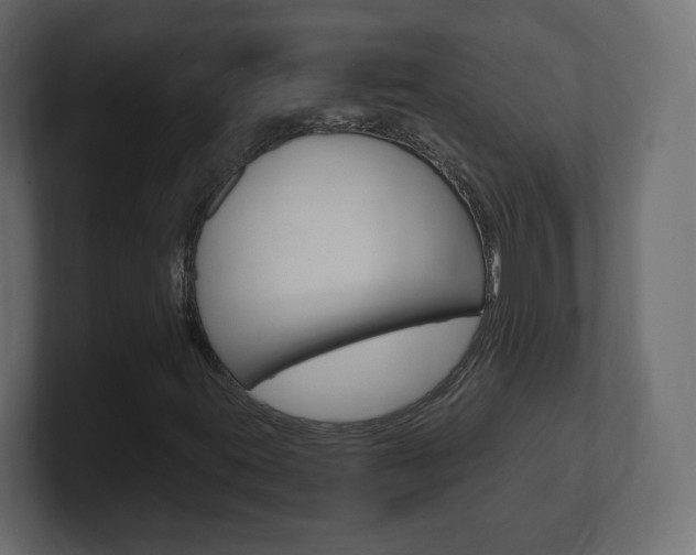 X0000101191395200806270837
