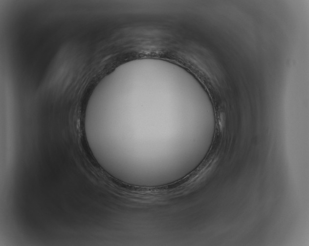 X0000101191396200806270837