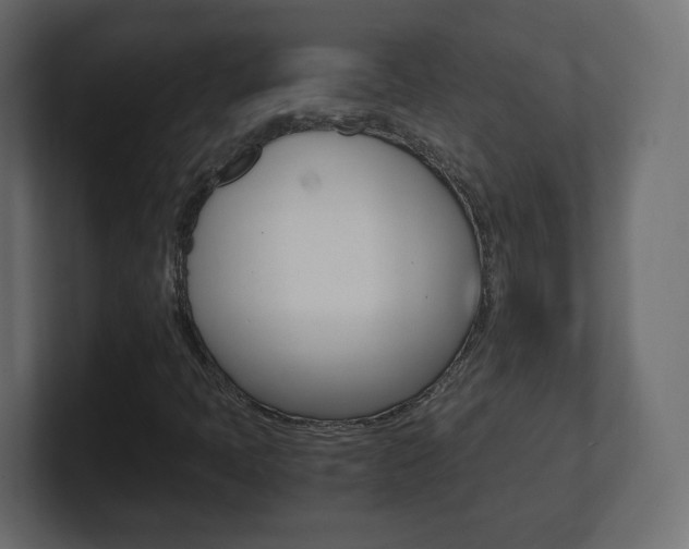 X0000101191397200806270837