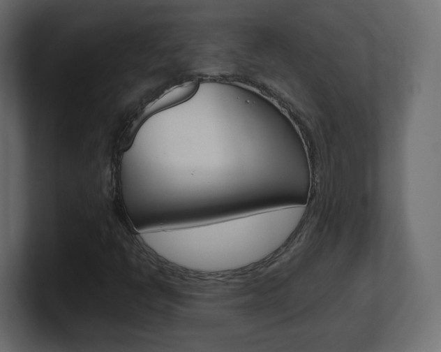 X0000101191398200806270838