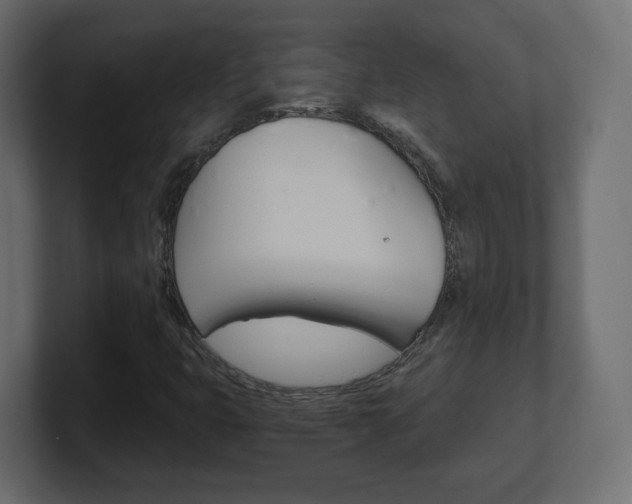 X0000101191399200806270838