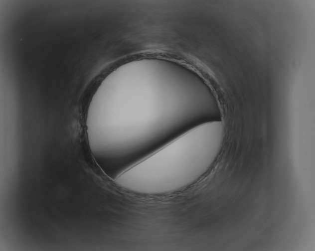X0000101191400200806270838