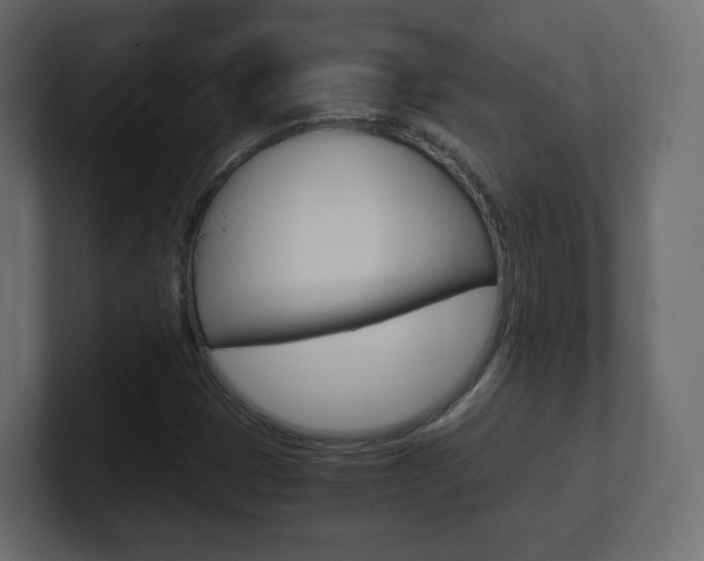 X0000101191401200806270838