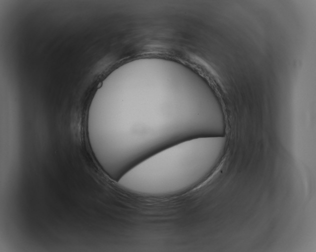 X0000101191403200806270838