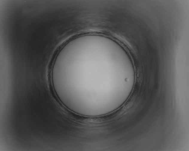 X0000101191404200806270838