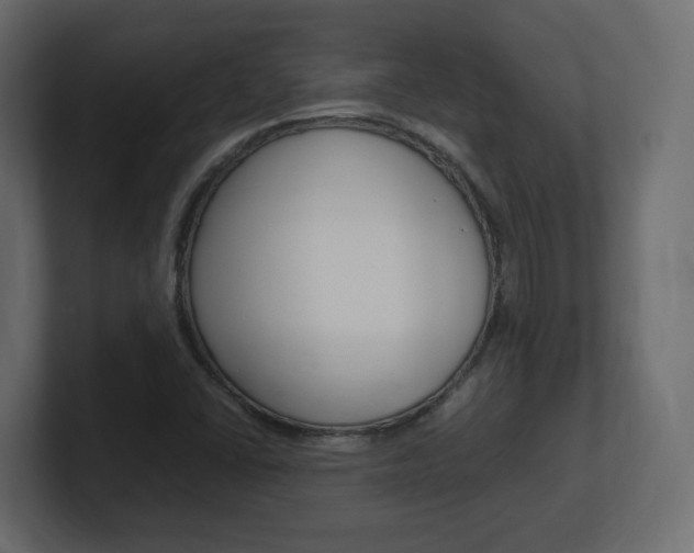 X0000101191406200806270838