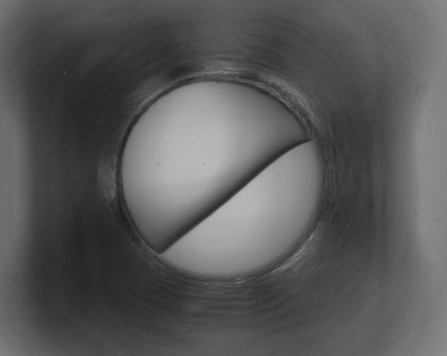 X0000101191409200806270838