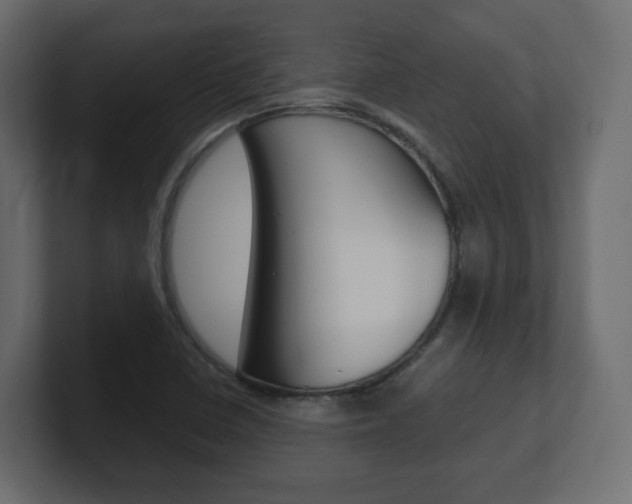 X0000101191410200806270838