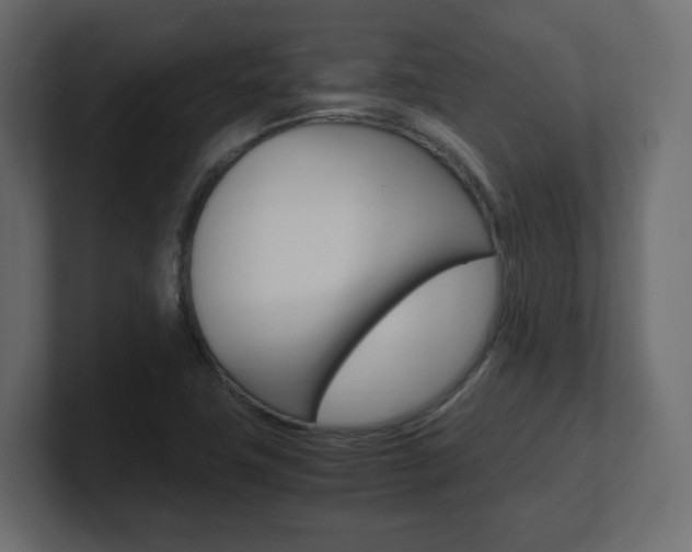 X0000101191411200806270838
