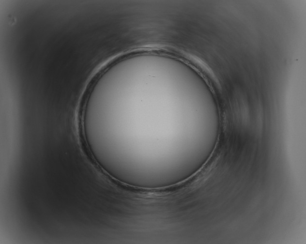 X0000101191412200806270838