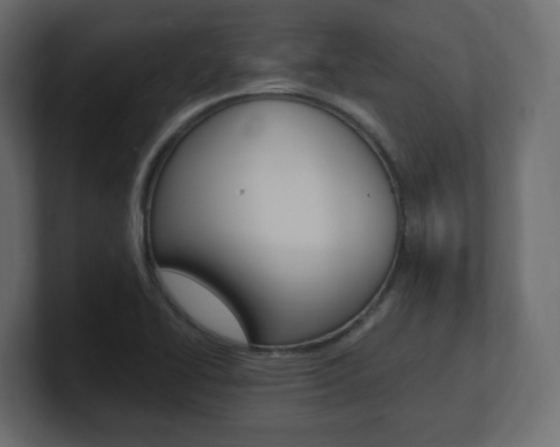 X0000101191414200806270838