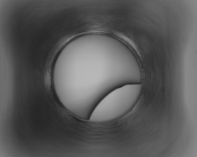 X0000101191415200806270838