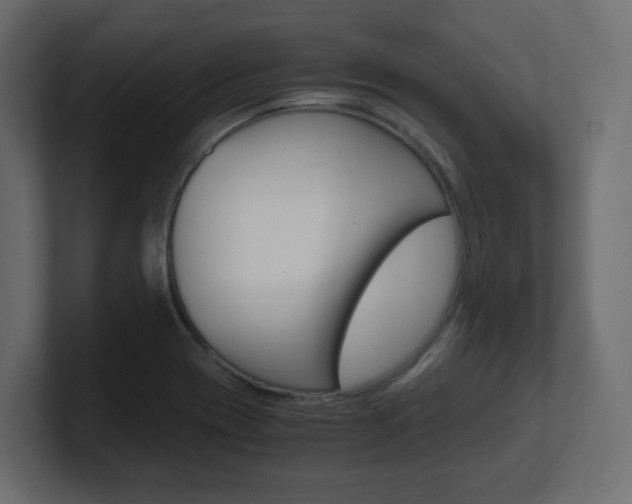 X0000101191417200806270838