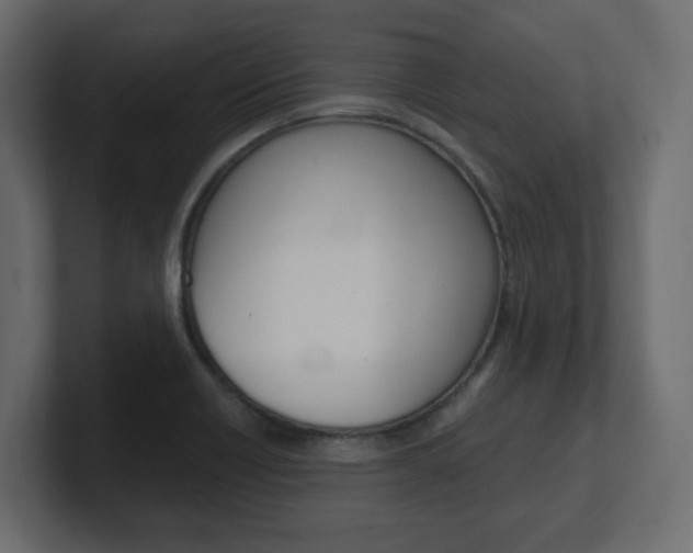 X0000101191418200806270838