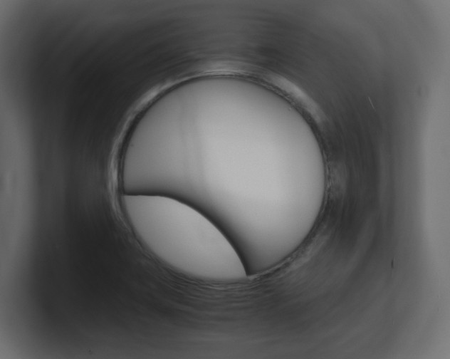 X0000101191419200806270838
