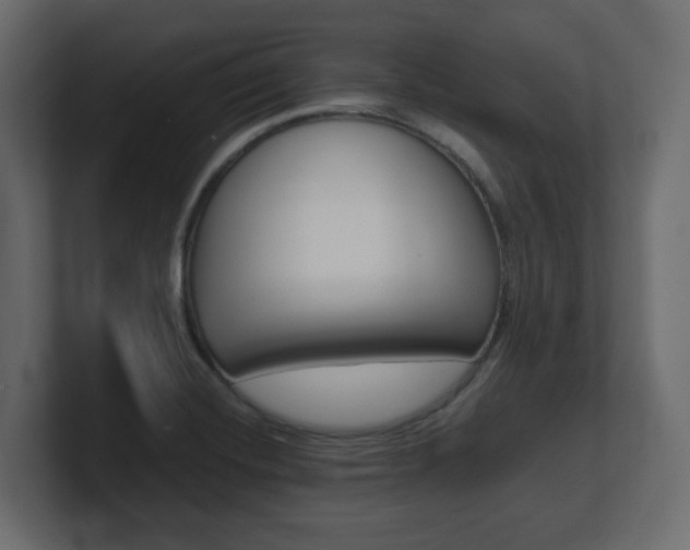 X0000101191420200806270838