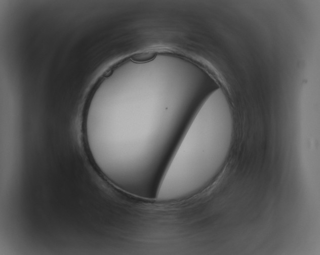 X0000101191422200806270838