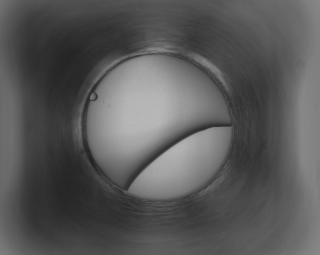 X0000101191423200806270838