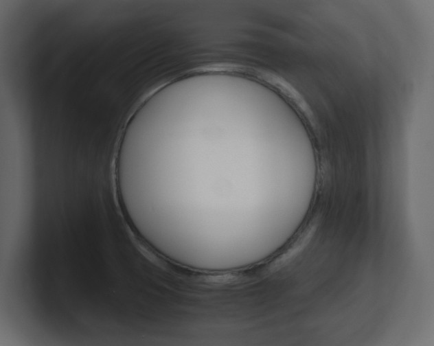 X0000101191425200806270838