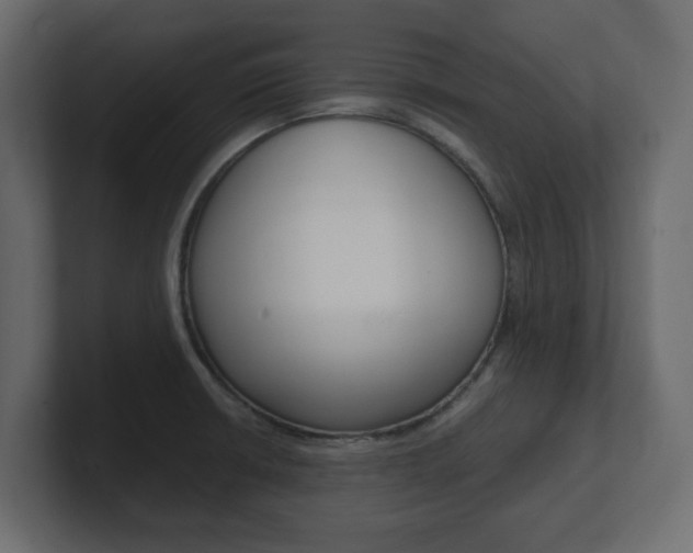X0000101191426200806270838