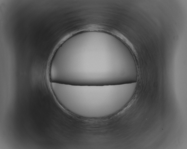 X0000101191429200806270838