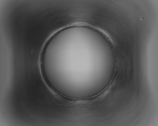X0000101191430200806270838