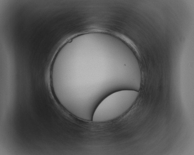 X0000101191431200806270838