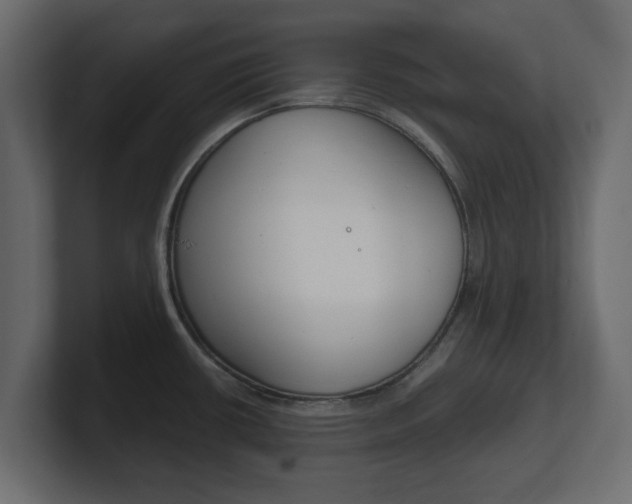 X0000101191434200806270838