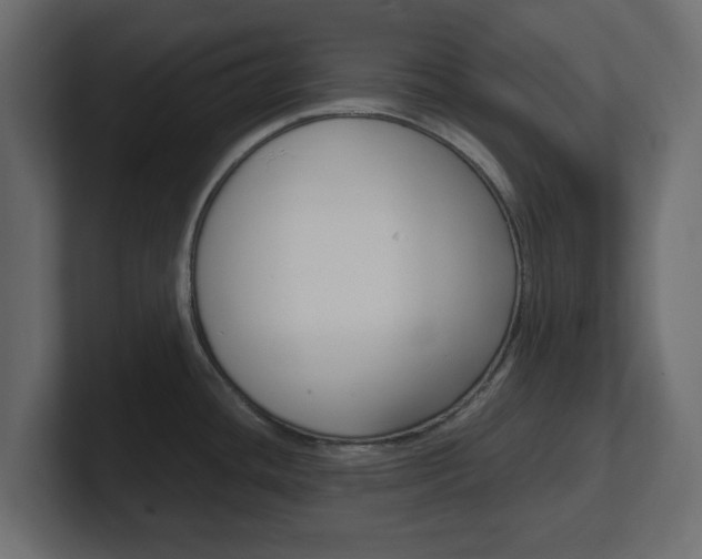 X0000101191436200806270838