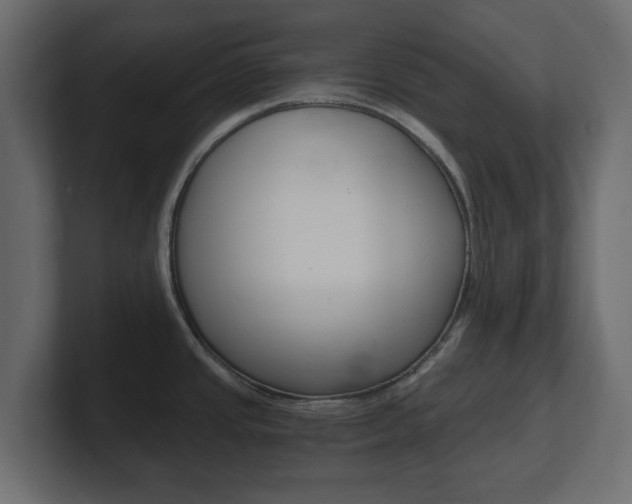 X0000101191437200806270838