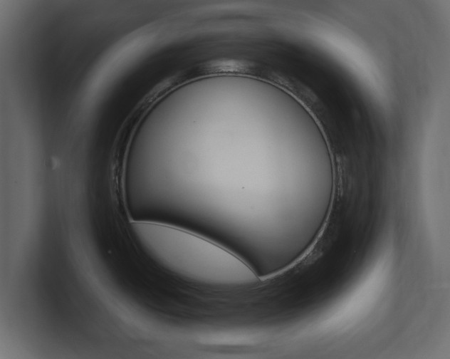 X0000101191438200806270838
