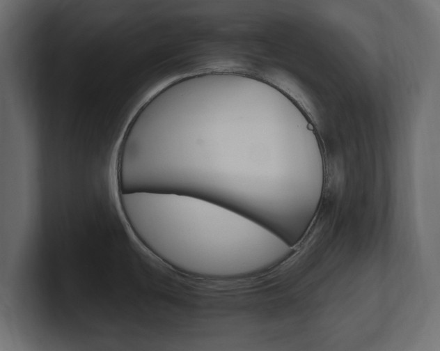 X0000101191439200806270838