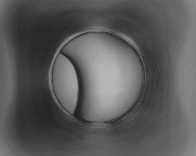 X0000101191440200806270838
