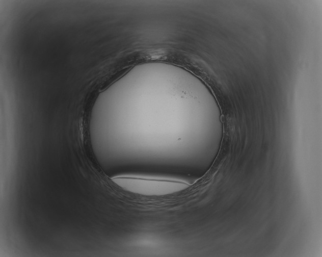 X0000101191442200806270837