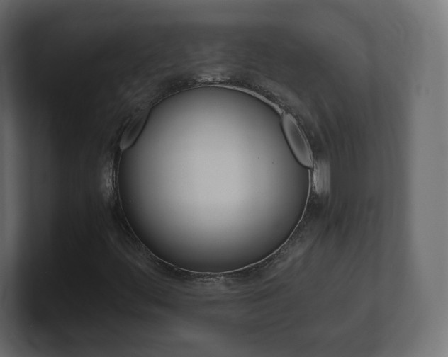 X0000101191444200806270837